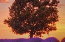 Conferência Espírita em RN