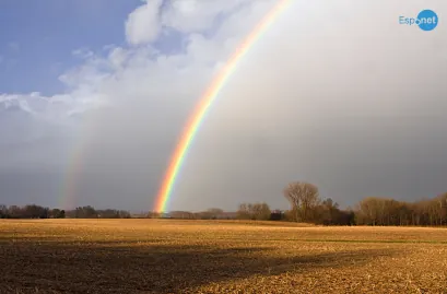 Brasil registra 101.136 mortes, 593 delas em 24 horas; média móvel é de 1.001 óbitos