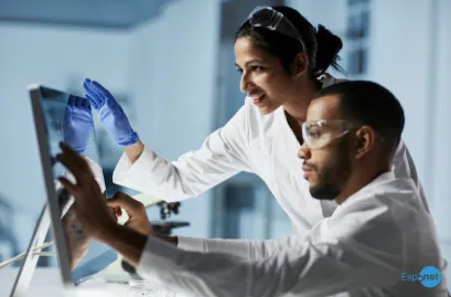 Cientistas conseguem reativar cérebros de porcos quatro horas após morte