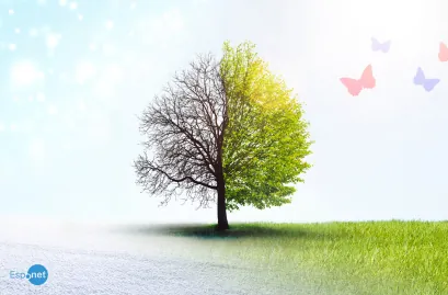 Desemprego no Brasil da pandemia: Doutor em engenharia espacial vende doces