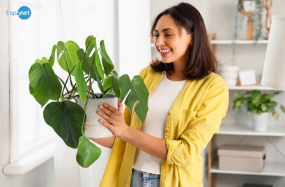 Falar com as plantas faz com que elas cresçam mais saudáveis