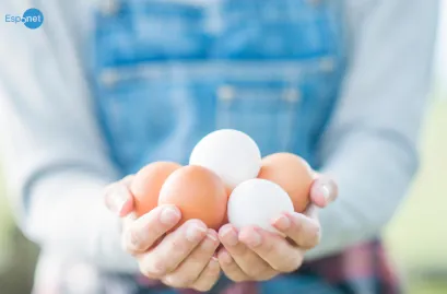 Sem quase nada para comer em casa, menino doa ovo para ajudar abrigo de idosos em Caçu